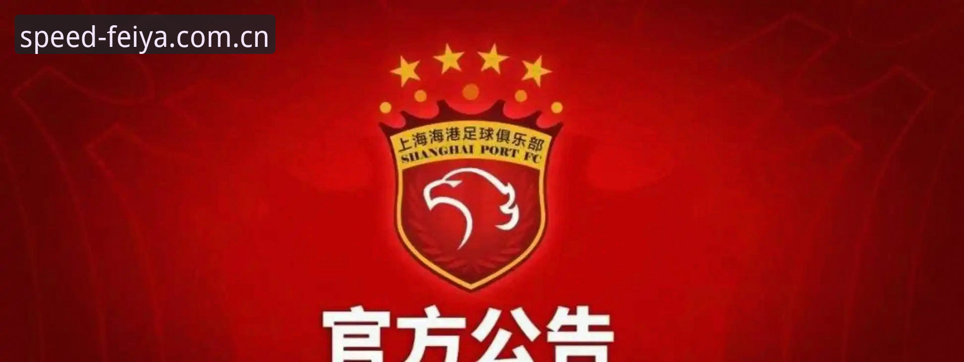 中国足协第三批禁足名单解读指南：通过飞亚体育平台了解行业整顿动态